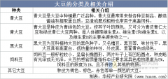 2025年中国大豆行业